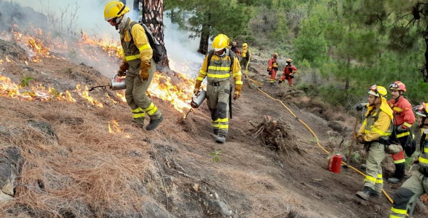 El incendio sigue activo y el fuego avanza “lentamente” en la Caldera donde ha afectado a 200 hectáreas