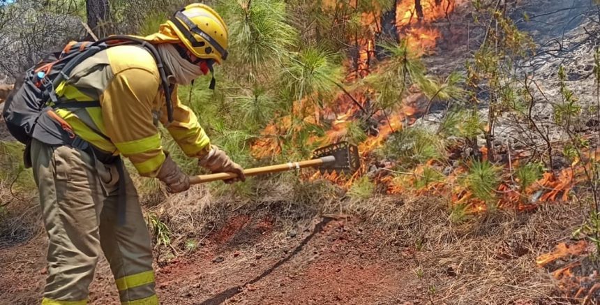 Fernando Clavijo, presidente del Gobierno de Canarias: “En el día de hoy se intentará dar por estabilizado el incendio”