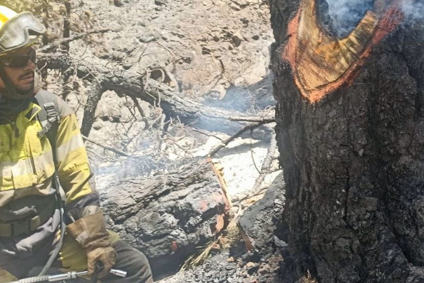 El incendio mantiene el nivel 2 “al menos hasta mañana”