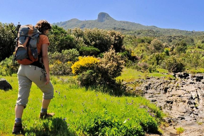 La Palma perderá este verano el 75% de los asientos ofertados desde el extranjero que tenía en 2019