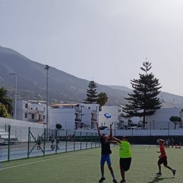 Los contratos firmados en julio en La Palma descienden casi en un 36% respecto a 2022