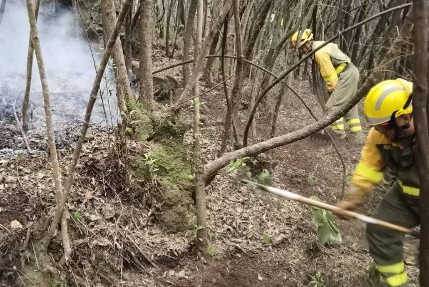 “El problema de la virulencia de los incendios es que el monte no se trabaja”