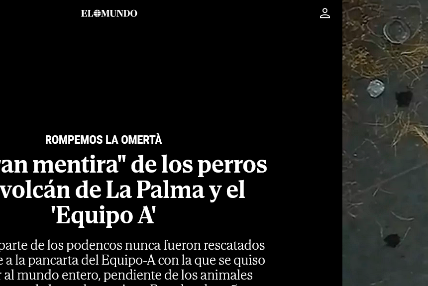Una investigación periodística asegura que la mayor parte de los podencos atrapados durante el volcán en un estanque no fueron rescatados vivos