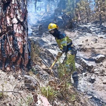 Los afectados de Puntagorda y Tijarafe por el incendio tienen hasta el 11 de agosto para declarar los daños sufridos en sus ayuntamientos