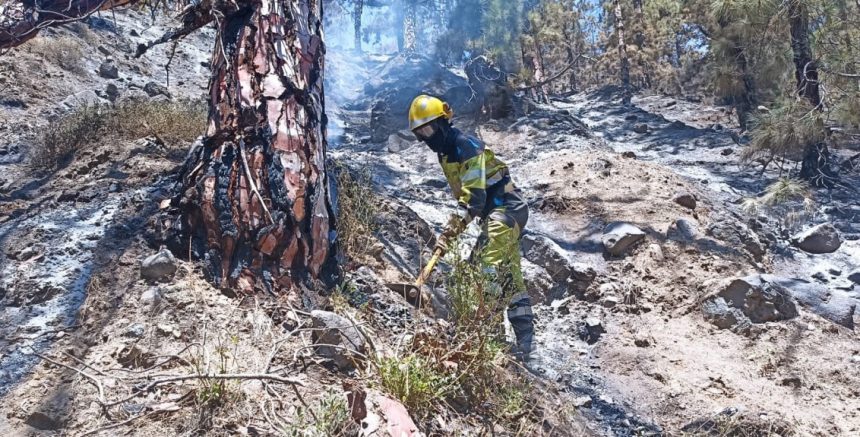 Los afectados de Puntagorda y Tijarafe por el incendio tienen hasta el 11 de agosto para declarar los daños sufridos en sus ayuntamientos