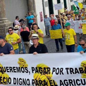 División de opiniones sobre la concentración parcelaria en el sector platanero de La Palma