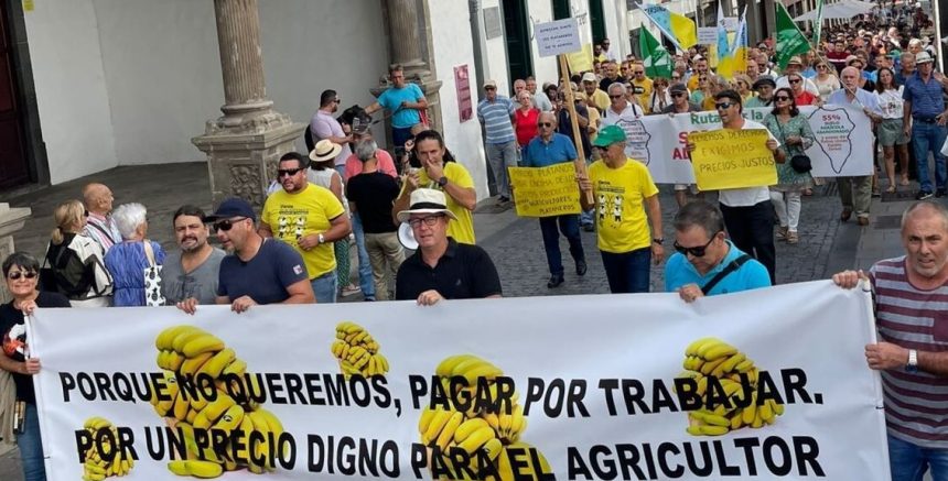 Los agricultores reclaman la aplicación de la Ley de Cadena Alimentaria al plátano para “no pagar por trabajar”