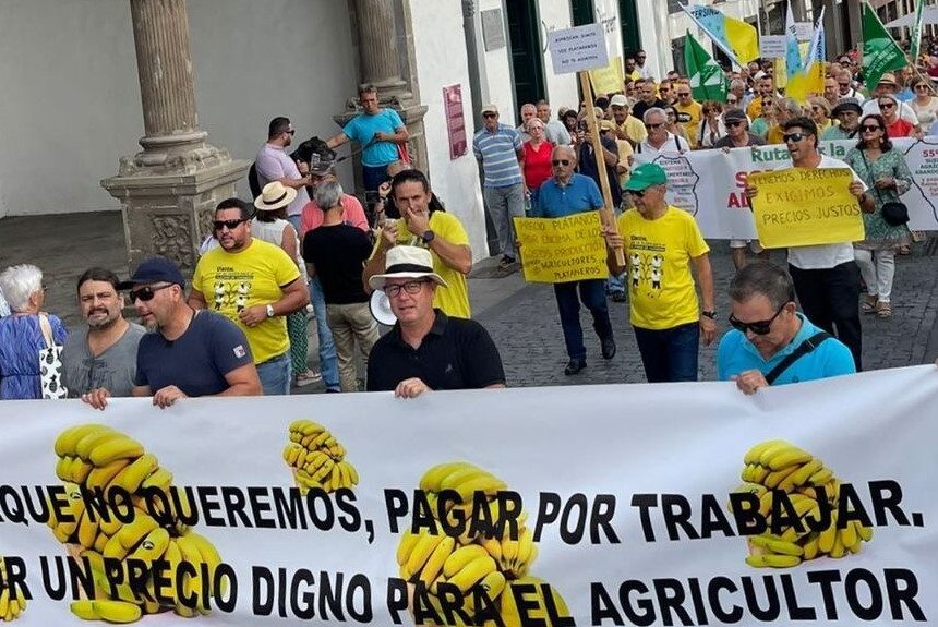 Los agricultores reclaman la aplicación de la Ley de Cadena Alimentaria al plátano para “no pagar por trabajar”