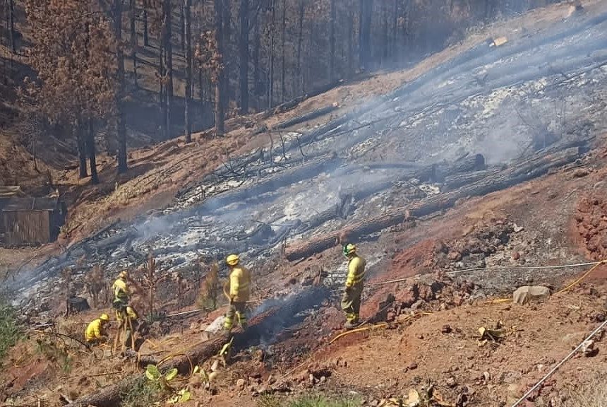 Controlado el conato de incendio declarado en Puntagorda