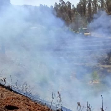 Declarado un conato de incendio en la zona de Fátima, en Puntagorda