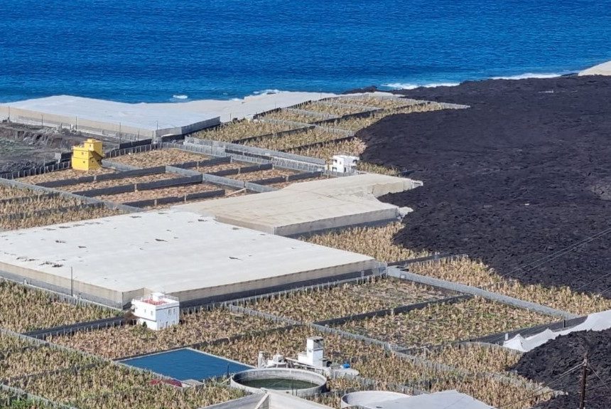 La devolución de ayudas por pérdida de renta por el volcán enfrenta a Gobierno y oposición en el Parlamento