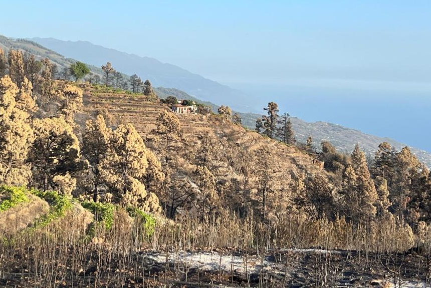 Tijarafe concederá ayudas de hasta 15.000 euros a las viviendas totalmente destruidas por el incendio de julio