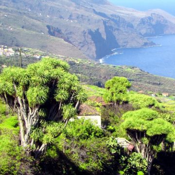 La población de La Palma ha crecido poco más de un 1% en los últimos 22 años