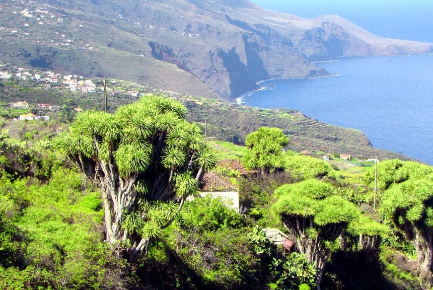 FORMATO BARLOVENTO 2 La población de La Palma ha crecido poco más de un 1% en los últimos 22 años