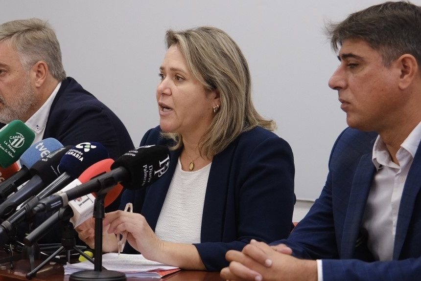 FORMATO DIPUTADOS PSOE LA PALMA El PSOE califica de “chapuza” la deducción del 60% del IRPF en Sanidad y “exige” que los trabajadores “no carguen” con ella