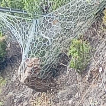 Las mallas instaladas en la carretera de Gallegos evitan que una roca de grandes dimensiones provoque daños en la vía