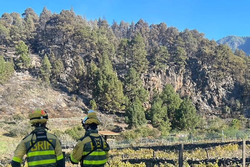 Controlado el incendio forestal de El Paso que afectó a 5 hectáreas en pleno otoño