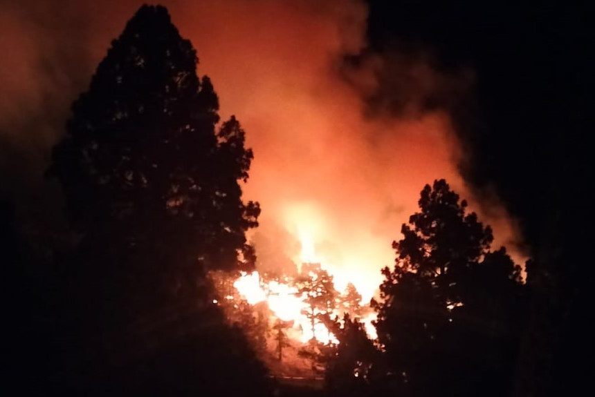 Declarado un conato de incendio forestal en la zona de El Riachuelo en El Paso