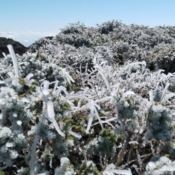 El Roque de los Muchachos marca la temperatura más baja de España este miércoles con -2,6 °C