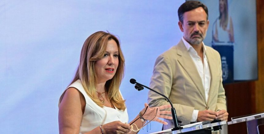 Defienden una candidatura propia de La Palma para el Centro Nacional de Vulcanología frente a la propuesta conjunta con Tenerife