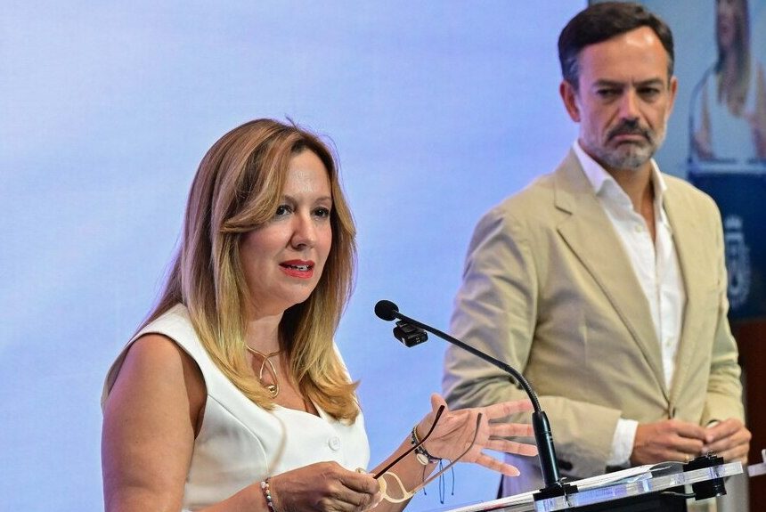 Defienden una candidatura propia de La Palma para el Centro Nacional de Vulcanología frente a la propuesta conjunta con Tenerife