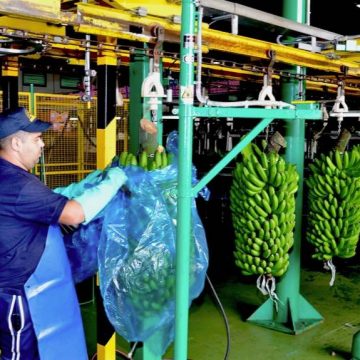 El rechazo de la patronal a actualizar las tablas salariales de los empaquetados lleva a CCOO al conflicto colectivo