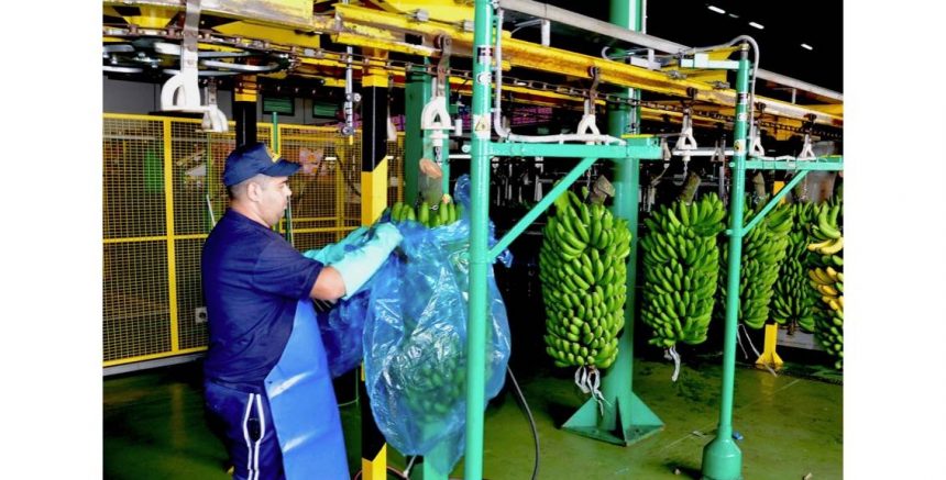 El rechazo de la patronal a actualizar las tablas salariales de los empaquetados lleva a CCOO al conflicto colectivo