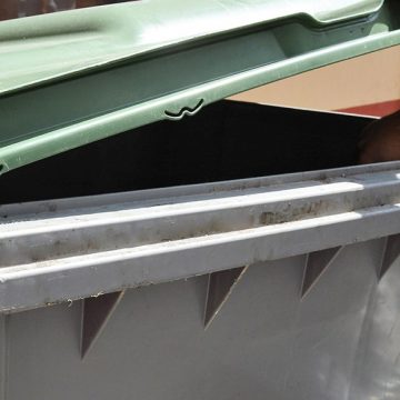 FORMATO CONTENEDOR GRIS Ben Magec denuncia el “fracaso” en la gestión de residuos y el “incumplimiento” de su normativa en La Palma