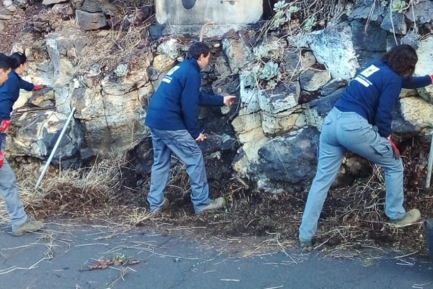 El paro subió en enero en La Palma en 30 personas hasta alcanzar los 6.180 desempleados