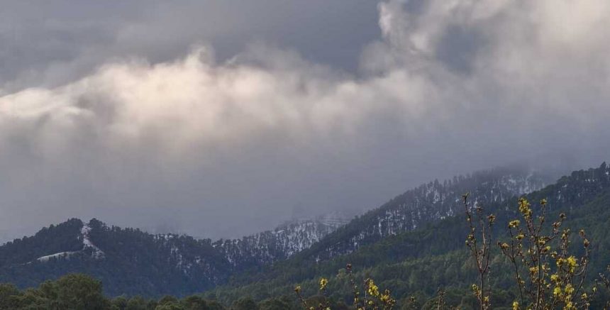 Therese deja -3,2 ºC en el Roque de los Muchachos y rachas de viento de hasta 98 km/h en La Palma