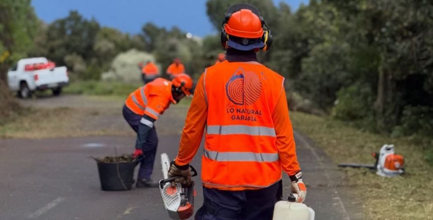 FORMATO PLAN EMPLEO GARAFIA El paro baja en marzo en La Palma y se sitúa en torno a los 6.000 desempleados