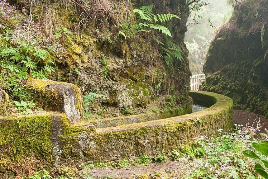 FORMATO MARCOS Y CORDERO El Cabildo prevé terminar en junio las obras del sendero de Marcos y Cordero, cerrado desde diciembre de 2024
