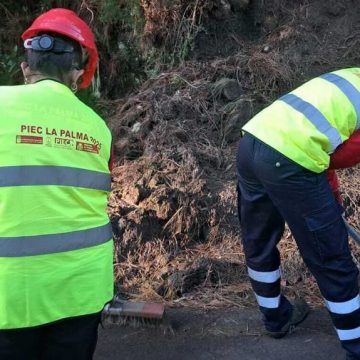 El paro en La Palma se mantiene en mayo en 5.950 personas