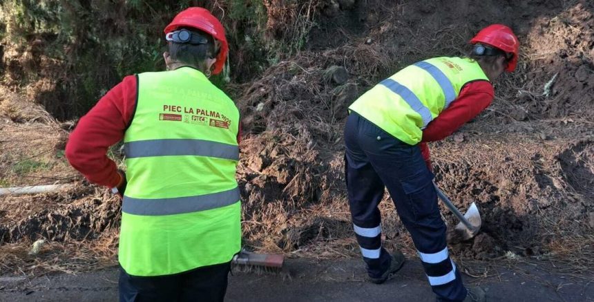 FORMATO PLAN EMPLEO El paro en La Palma se mantiene en mayo en 5.950 personas