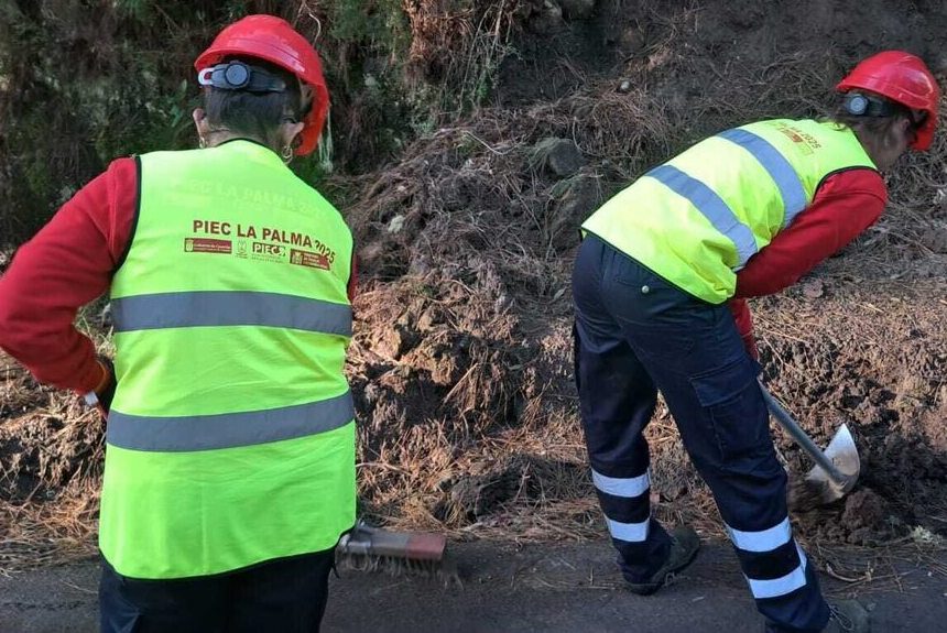 FORMATO PLAN EMPLEO El paro en La Palma se mantiene en mayo en 5.950 personas