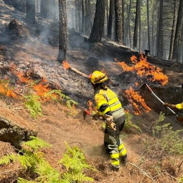 Las BRIF de Puntagorda participan en Ávila en la extinción del mayor incendio de España desde que existen registros