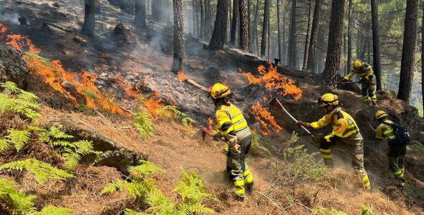 Las BRIF de Puntagorda participan en Ávila en la extinción del mayor incendio de España desde que existen registros
