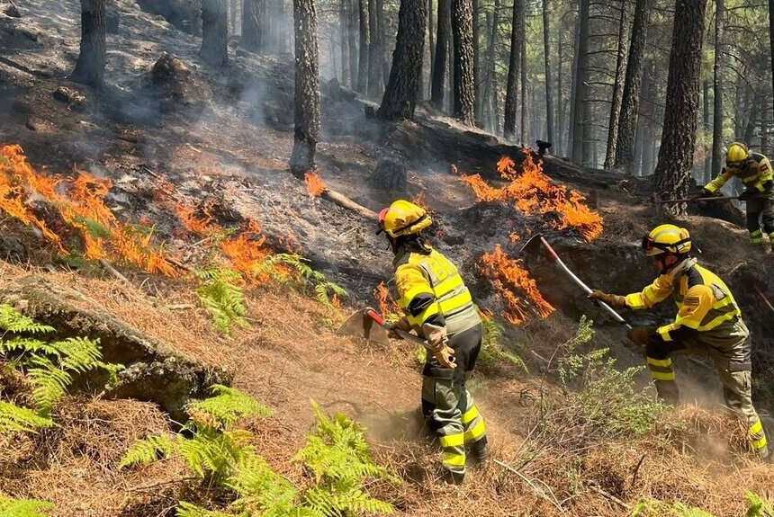 Las BRIF de Puntagorda participan en Ávila en la extinción del mayor incendio de España desde que existen registros