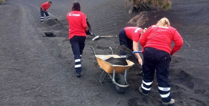 El paro en La Palma baja en 194 personas en junio y se sitúa en 5.756 desempleados