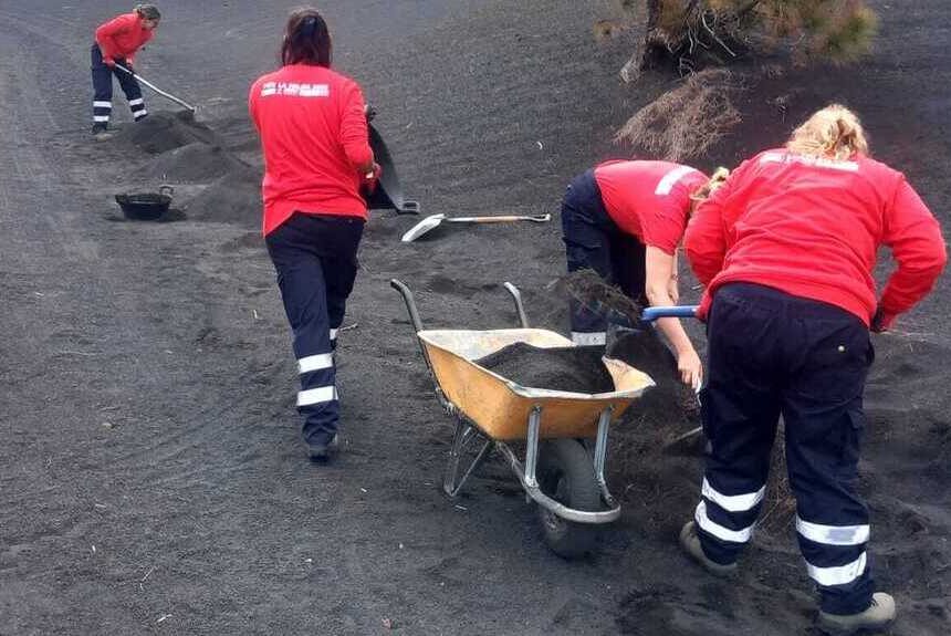 El paro en La Palma baja en 194 personas en junio y se sitúa en 5.756 desempleados